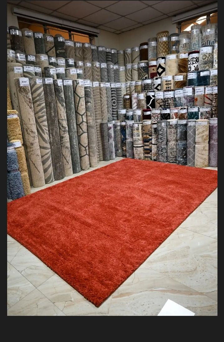 Super Soft 4X6 Burnt Orange Living Room Area Rugs,Modern Indoor Large Shaggy Non-Slip Floors Rug,High Quality Egyptian Carpets for Bedroom Furry Plush Carpets, Kids Room, Home Nursery Decorative