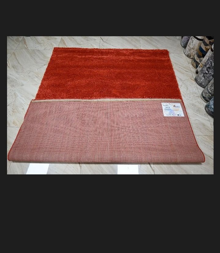 Super Soft 4X6 Burnt Orange Living Room Area Rugs,Modern Indoor Large Shaggy Non-Slip Floors Rug,High Quality Egyptian Carpets for Bedroom Furry Plush Carpets, Kids Room, Home Nursery Decorative