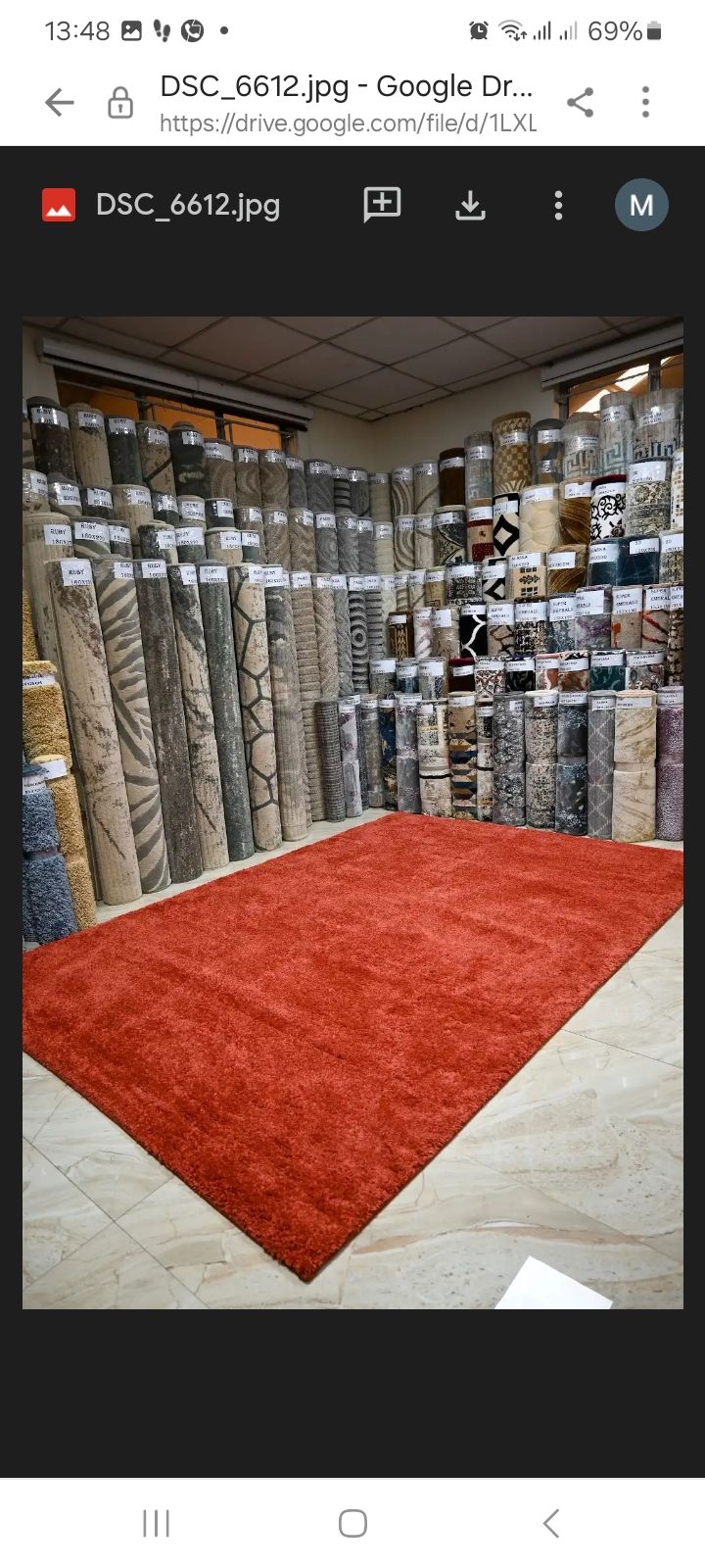 Super Soft 4X6 Burnt Orange Living Room Area Rugs,Modern Indoor Large Shaggy Non-Slip Floors Rug,High Quality Egyptian Carpets for Bedroom Furry Plush Carpets, Kids Room, Home Nursery Decorative