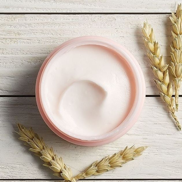 The Body Shop Vitamin E Nourishing Night Cream [Overnight hydration for all skin types] 50ml