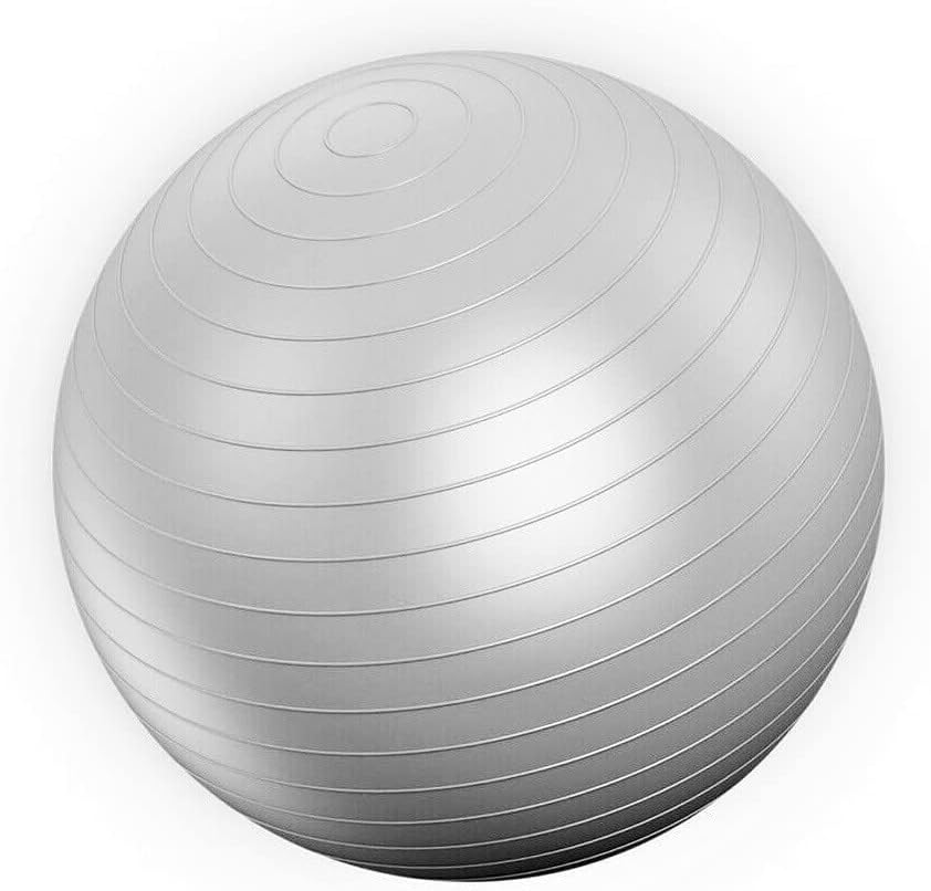Unisex Sports Yoga Balls Bola Pilates Fitness Gym Balance Fitball Exercise Pilates Ball 65cm