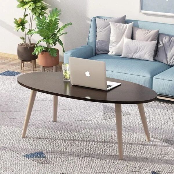 Shee Nordic Oval Coffee Table, Oval Center Table for Living Room, End Table Sofa Table, Simple and Stylish Design