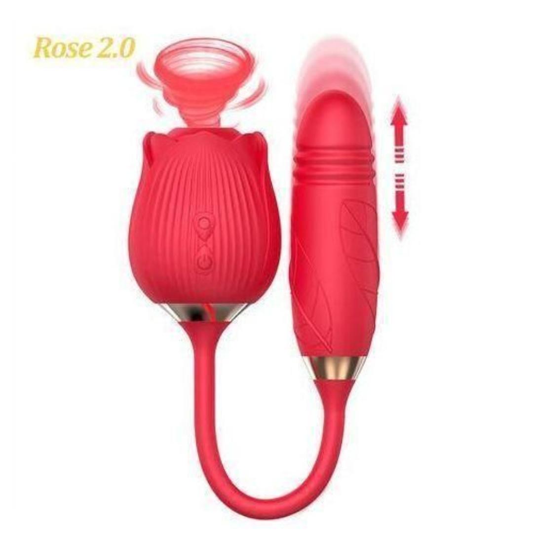 2 in 1 rose toy vibrator