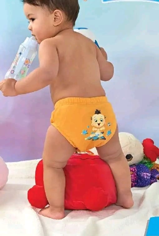 Soft & Absorbent Potty Training Pants | Reusable & Washable Training Underwear for Toddlers | Boys, Girls & Unisex | Kayleigh Babyshop