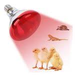 Red Infrared chicken bulb, Heat Lamp for Chickens Coop Brooder and Reptile Heat Bulb 220 Volts Infrared Red Light