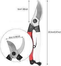 Pruning Scissors Garden Shears Pruner Branches Secateurs Orchard Flower Sharp Gardening Hand Florist Bonsai Cutters Mini Small Plant Floral Snips