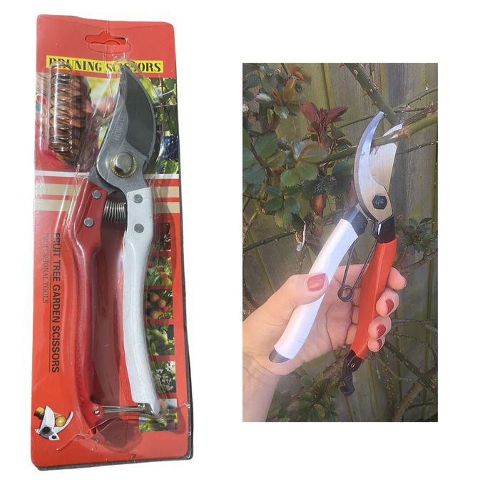 Pruning Scissors Garden Shears Pruner Branches Secateurs Orchard Flower Sharp Gardening Hand Florist Bonsai Cutters Mini Small Plant Floral Snips