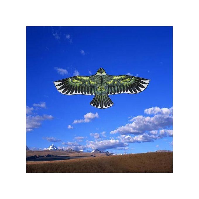 Kids Eagle Flying Kite Toy Outdoor Bird
