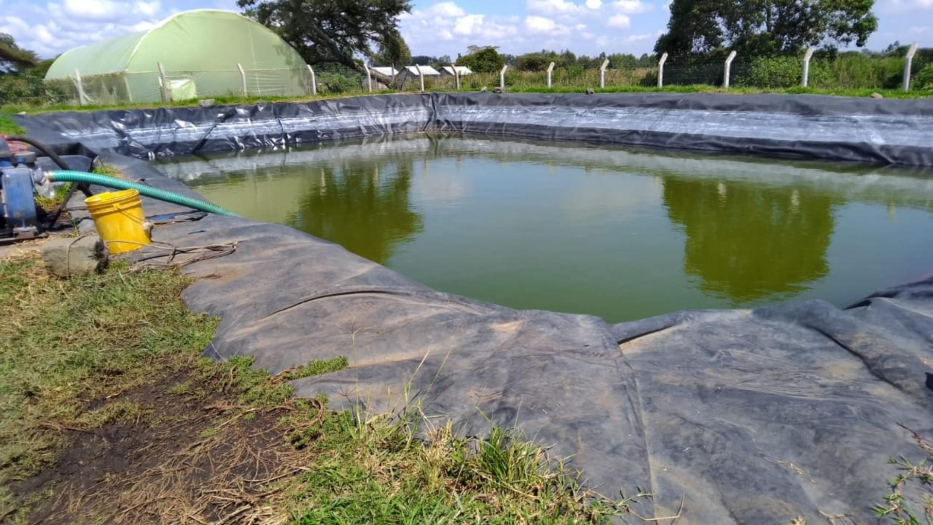 Dam liners.... Affordable investment agricultural Dam liners...
