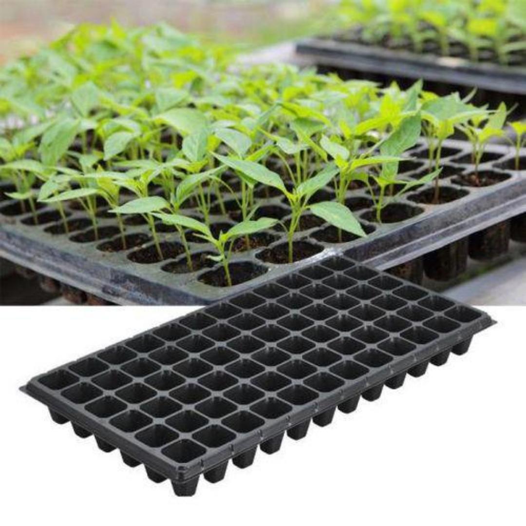 200 holes seedling tray....