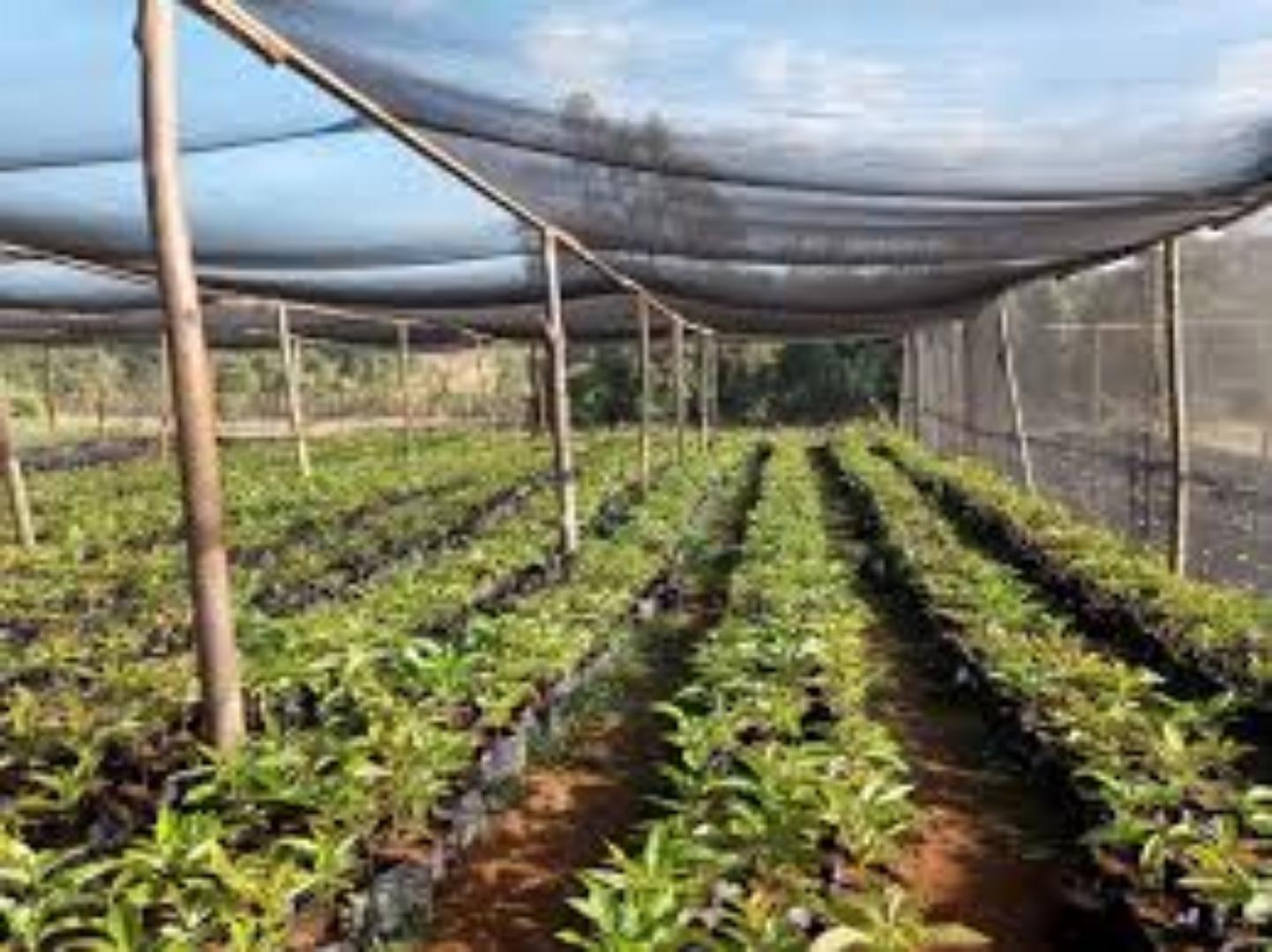 Protect Plants with Quality Shade Nets!".... Investment on a top level for more agricultural harvests using our affordable agricultural shade nets