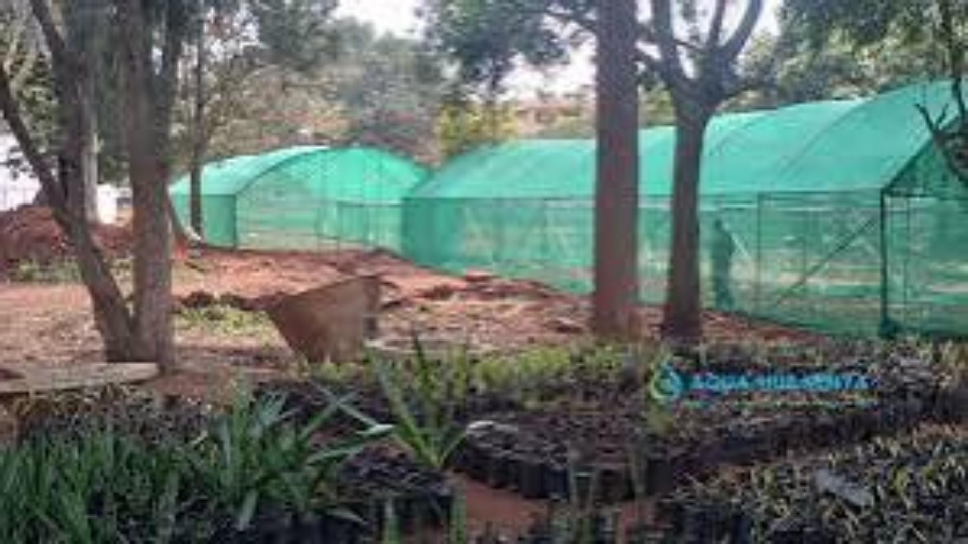90% Effective Shade Netting for Garden Protection"Invest in smart agriculture... protect your crops for greater harvest