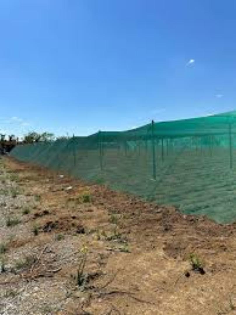50% Effective Shade Netting for Garden Protection"... protect your crops for greater harvest...Invest in smart agriculture