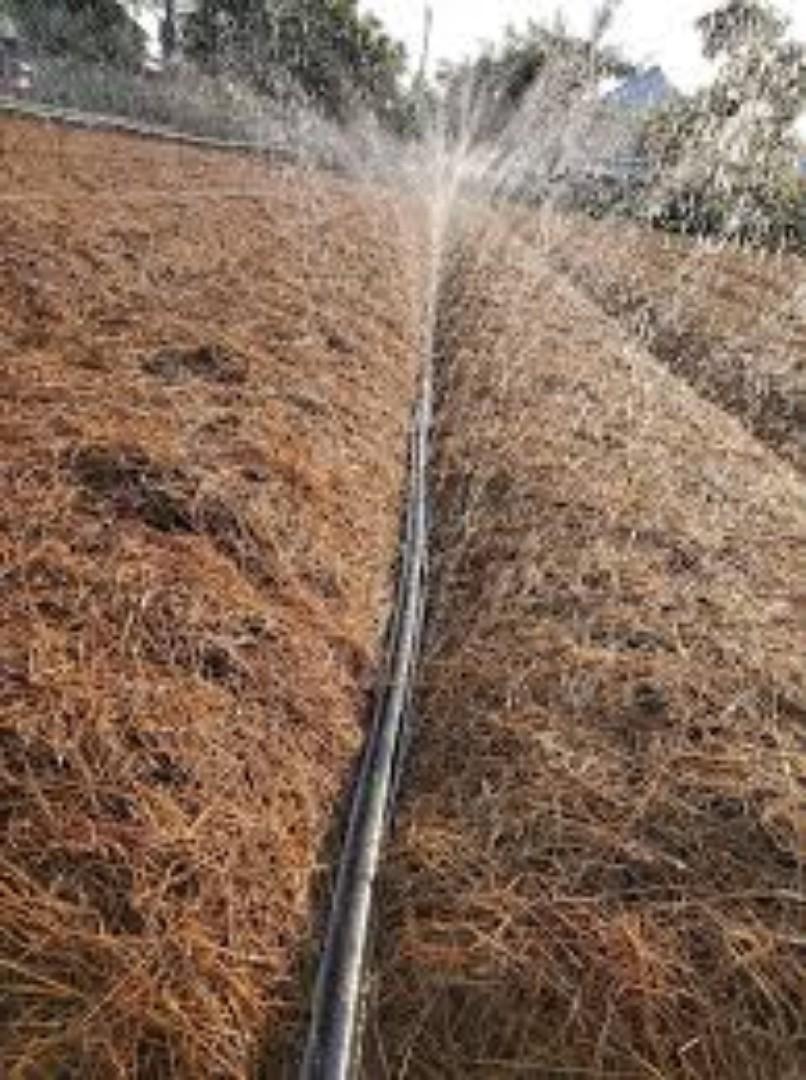 Flexible Rain Hose for Easy Setup.Fmexibility is key and length quite spectacular in irrigation.Be certain with our Rain hose