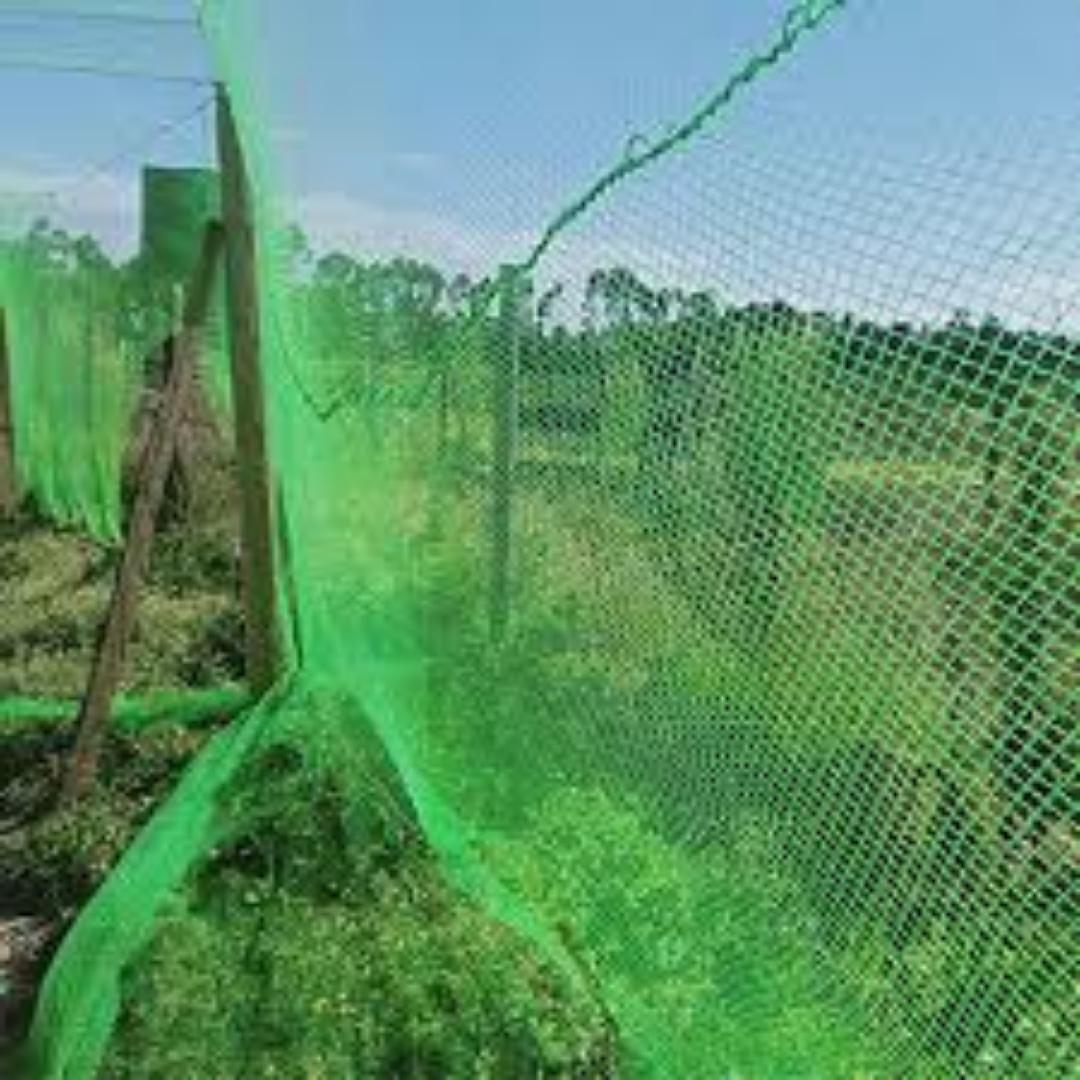 Bird-Proof Your Greenhouse with Durable Nets...Let all seasons be of great harvesting due to an easy and affordable investment
