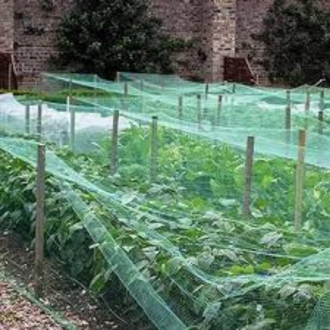 Greenhouse Bird Nets: Simple Solution for Crop Safety.. Investment in your Farm for great results and harvest