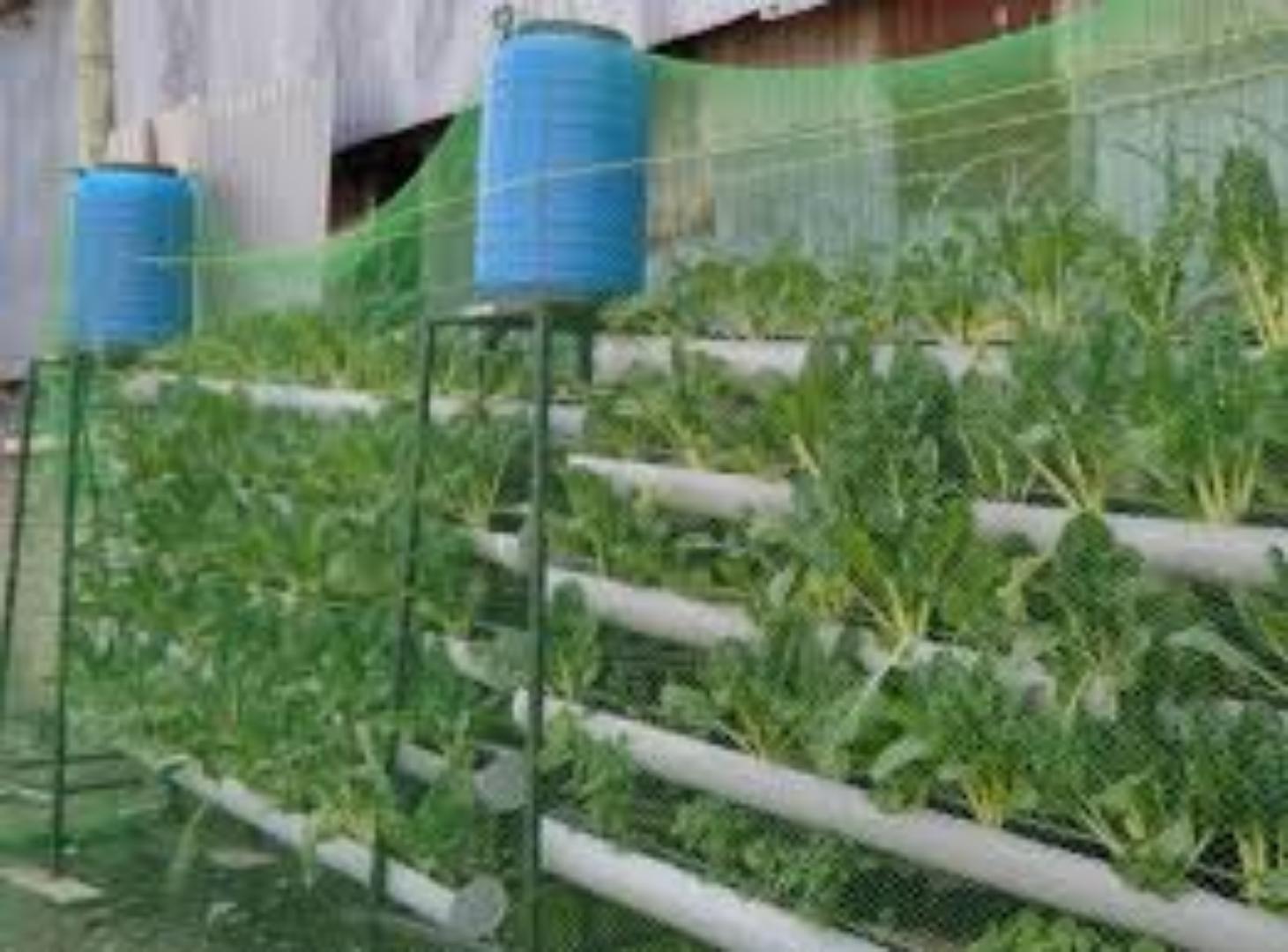 Protect Your Greenhouse with Quality Bird Nets.Our affordable investment (birdnets)are available at your disposal.Keep birds away and crops safe