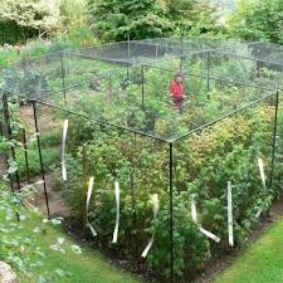 Protect Your Greenhouse with Quality Bird Nets.Our affordable investment (birdnets)are available at your disposal.Keep birds away and crops safe