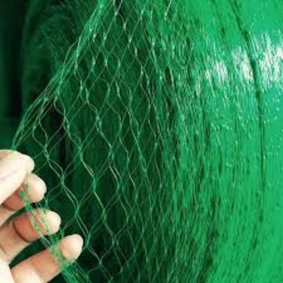 Greenhouse Bird Nets: Simple Solution for Crop Safety.. Investment in your Farm for great results and harvest
