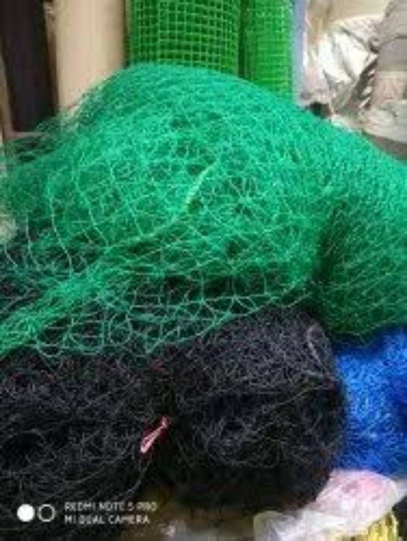 Bird-Proof Your Greenhouse with Durable Nets...Let all seasons be of great harvesting due to an easy and affordable investment