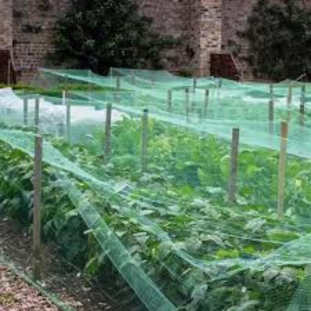 Bird-Proof Your Greenhouse with Durable Nets...Let all seasons be of great harvesting due to an easy and affordable investment