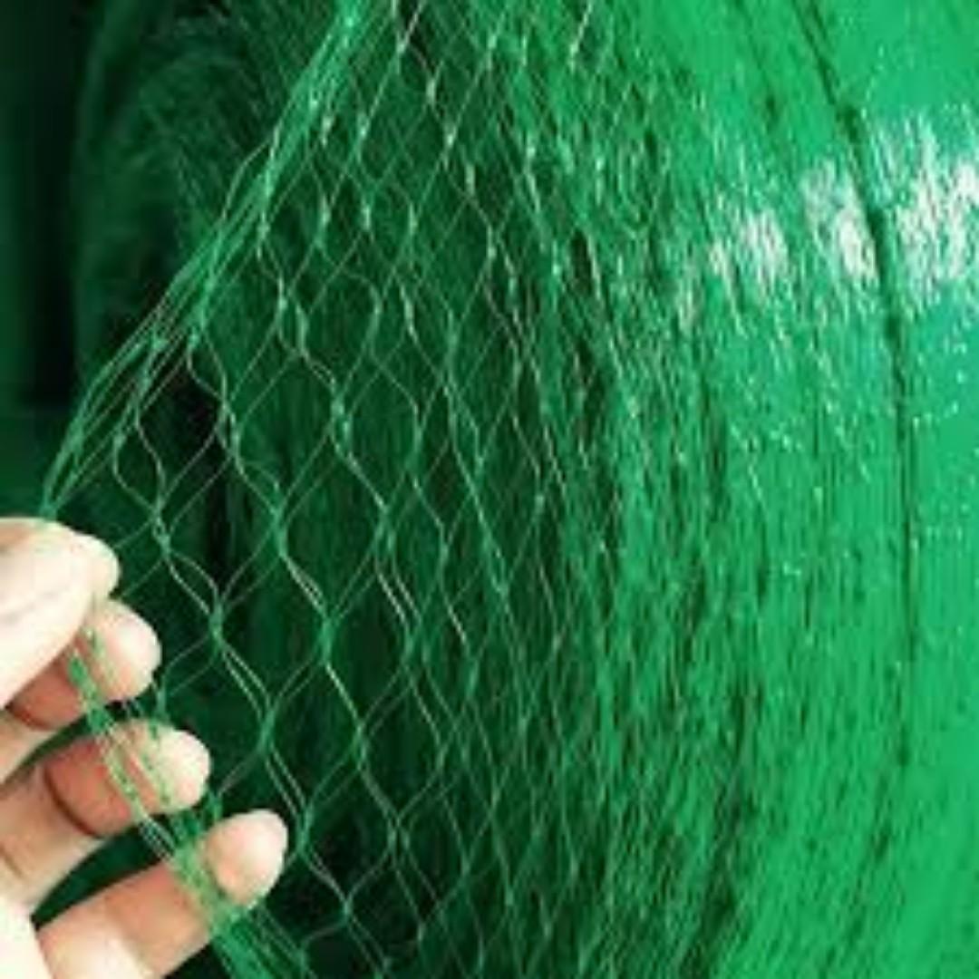 Bird-Proof Your Greenhouse with Durable Nets...Let all seasons be of great harvesting due to an easy and affordable investment