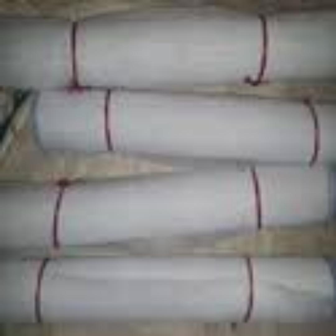 Protect Your Crops with Durable Insect Nets – Keep Pests Out While Letting Sunlight & Air In for a Healthier Harvest