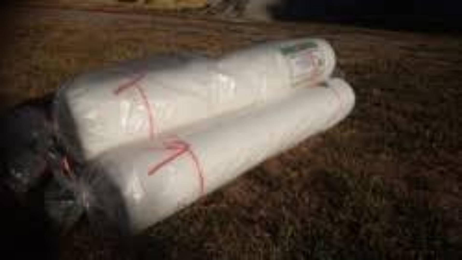 Protect Your Crops with Durable Insect Nets – Keep Pests Out While Letting Sunlight & Air In for a Healthier Harvest