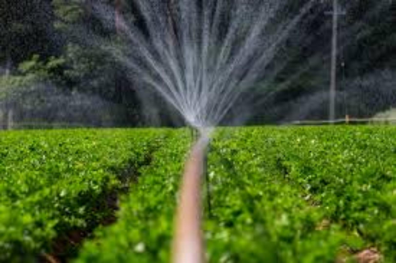 Heavy-Duty Rain Hose for Efficient Garden Watering.Use our agricultural rain hose for great results,length and the width of the holes fully enhanced