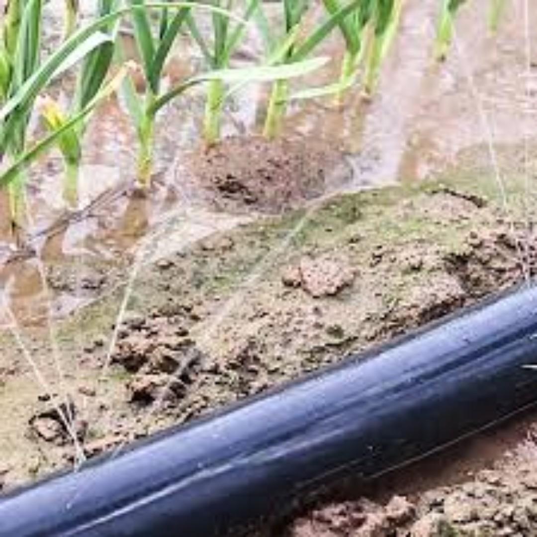 Heavy-Duty Rain Hose for Efficient Garden Watering.Use our agricultural rain hose for great results,length and the width of the holes fully enhanced