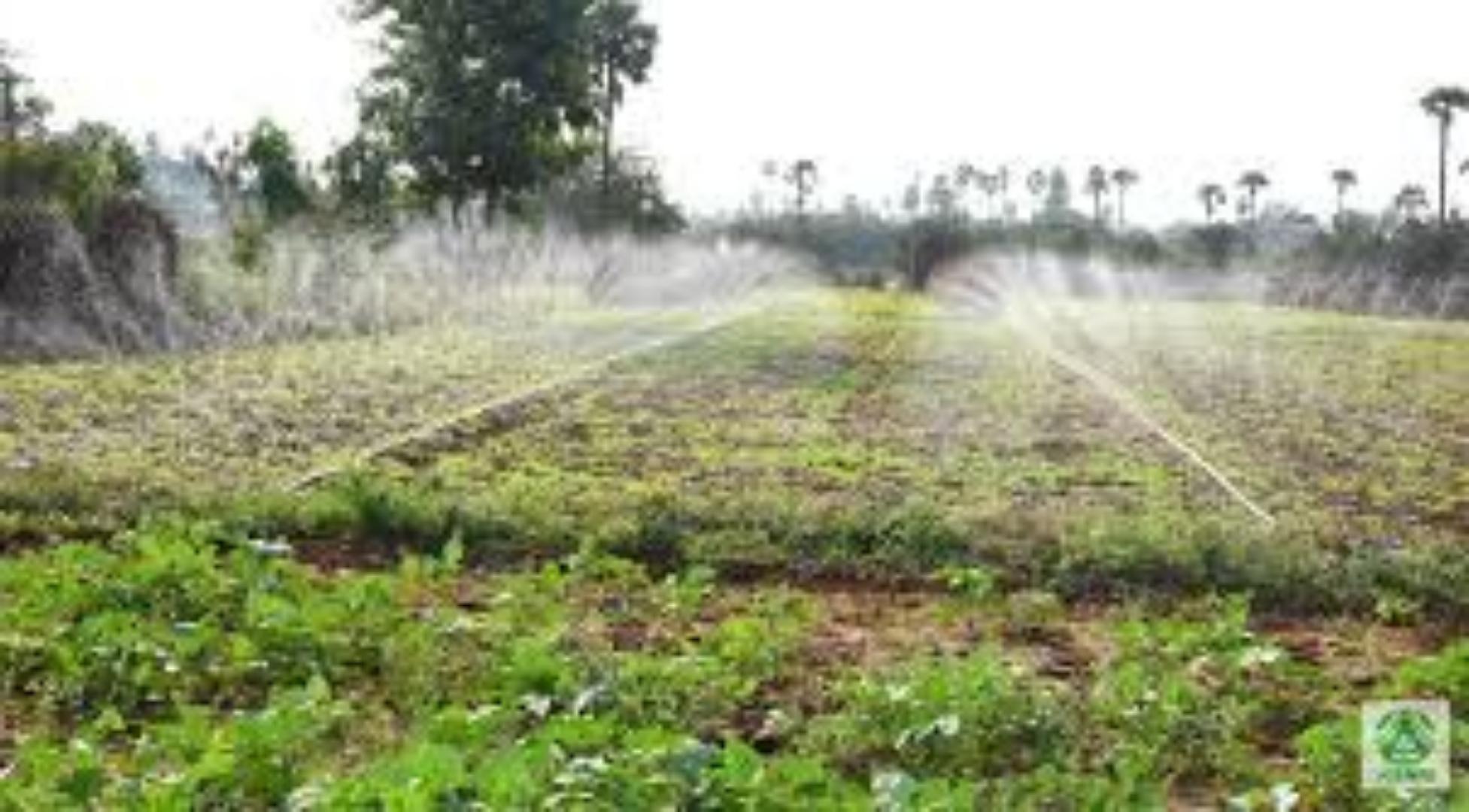 Heavy-Duty Rain Hose for Efficient Garden Watering.Use our agricultural rain hose for great results,length and the width of the holes fully enhanced