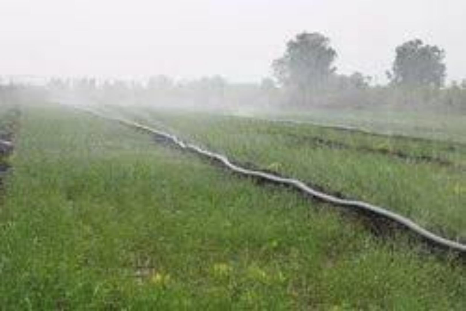 Heavy-Duty Rain Hose for Efficient Garden Watering.Use our agricultural rain hose for great results,length and the width of the holes fully enhanced