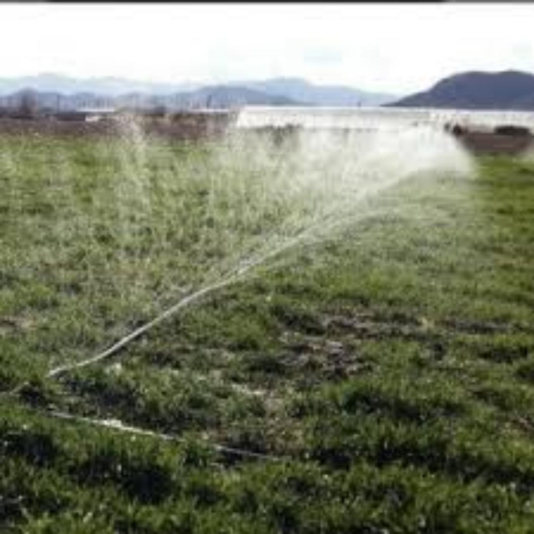 Heavy-Duty Rain Hose for Efficient Garden Watering.Use our agricultural rain hose for great results,length and the width of the holes fully enhanced