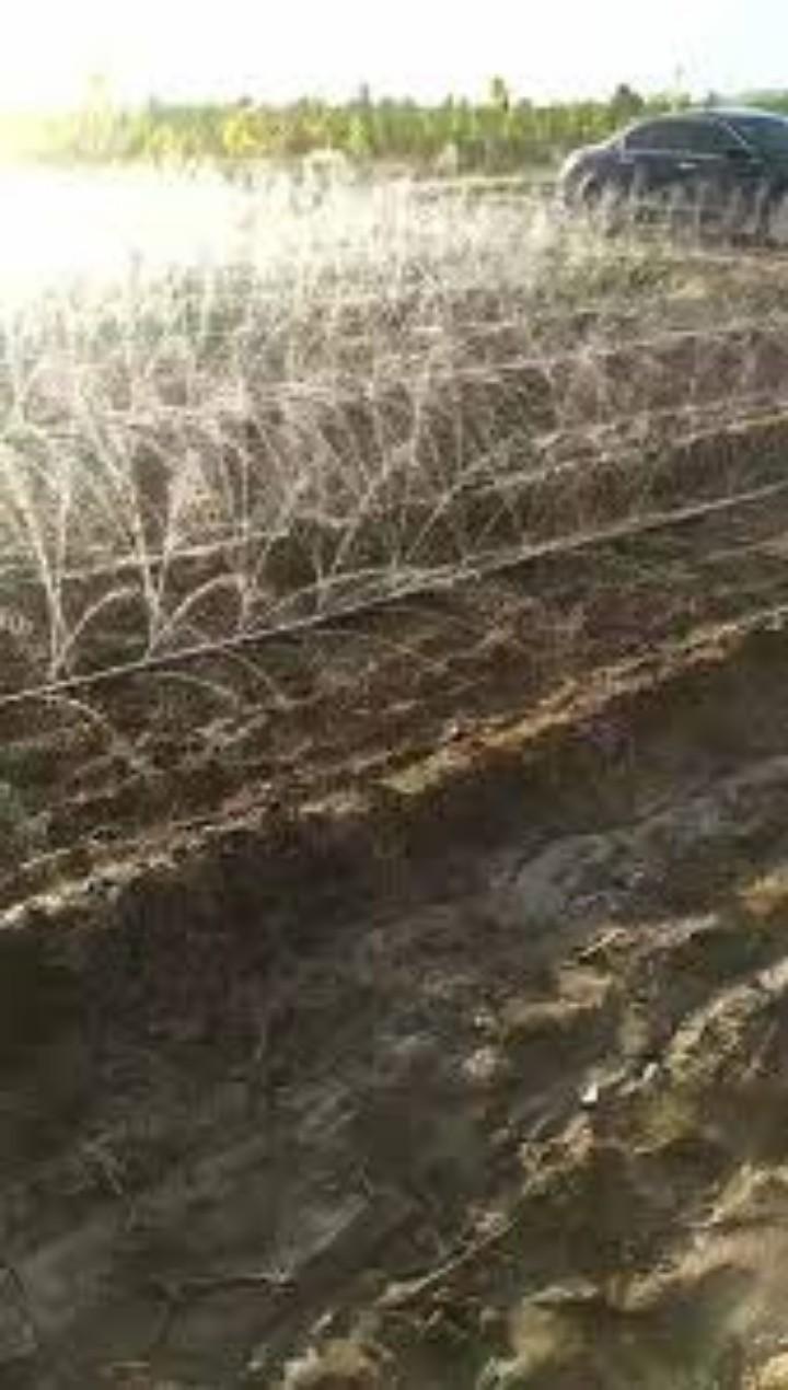 Heavy-Duty Rain Hose for Efficient Garden Watering.Use our agricultural rain hose for great results,length and the width of the holes fully enhanced