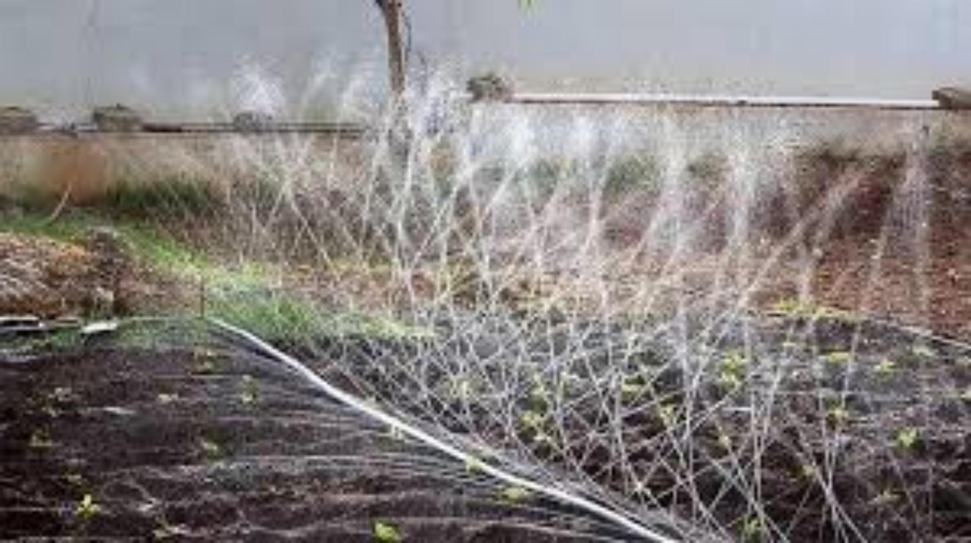 Flexible Rain Hose for Easy Setup.Fmexibility is key and length quite spectacular in irrigation.Be certain with our Rain hose