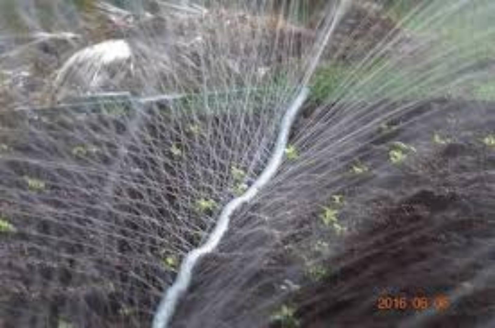 Flexible Rain Hose for Easy Setup.Fmexibility is key and length quite spectacular in irrigation.Be certain with our Rain hose