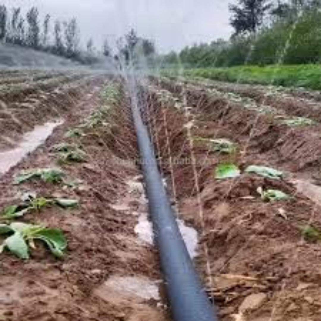 Flexible Rain Hose for Easy Setup.Fmexibility is key and length quite spectacular in irrigation.Be certain with our Rain hose