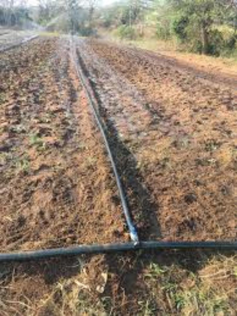 Flexible Rain Hose for Easy Setup.Fmexibility is key and length quite spectacular in irrigation.Be certain with our Rain hose