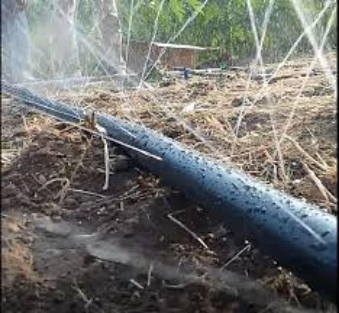 Flexible Rain Hose for Easy Setup.Fmexibility is key and length quite spectacular in irrigation.Be certain with our Rain hose