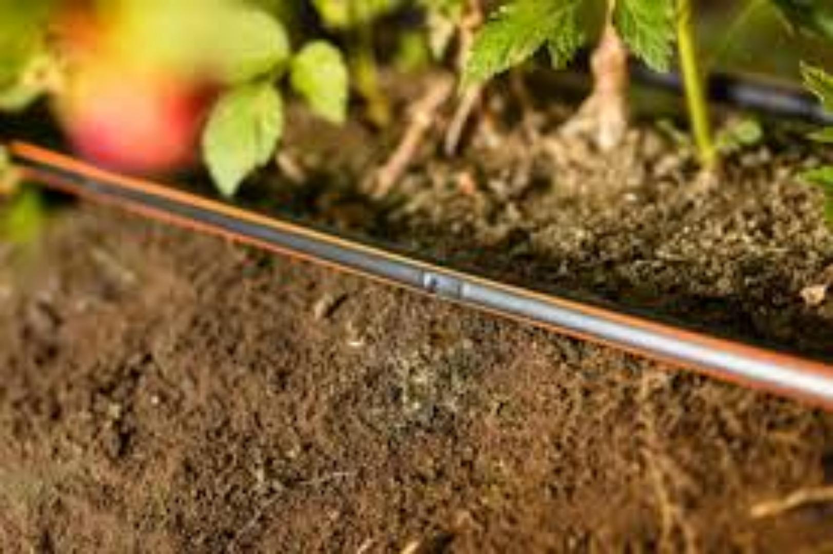 Cost-Effective Drip Tape for High-yields.. Maximize your yields.. Great harvest results while minimizing water spillage