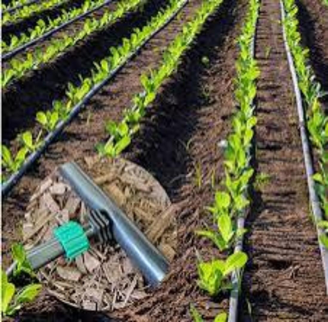 Cost-Effective Drip Tape for High-yields.. Maximize your yields.. Great harvest results while minimizing water spillage