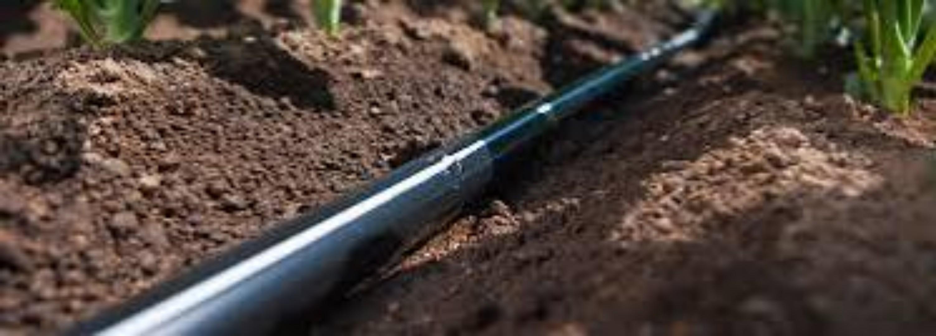 Cost-Effective Drip Tape for High-yields.. Maximize your yields.. Great harvest results while minimizing water spillage