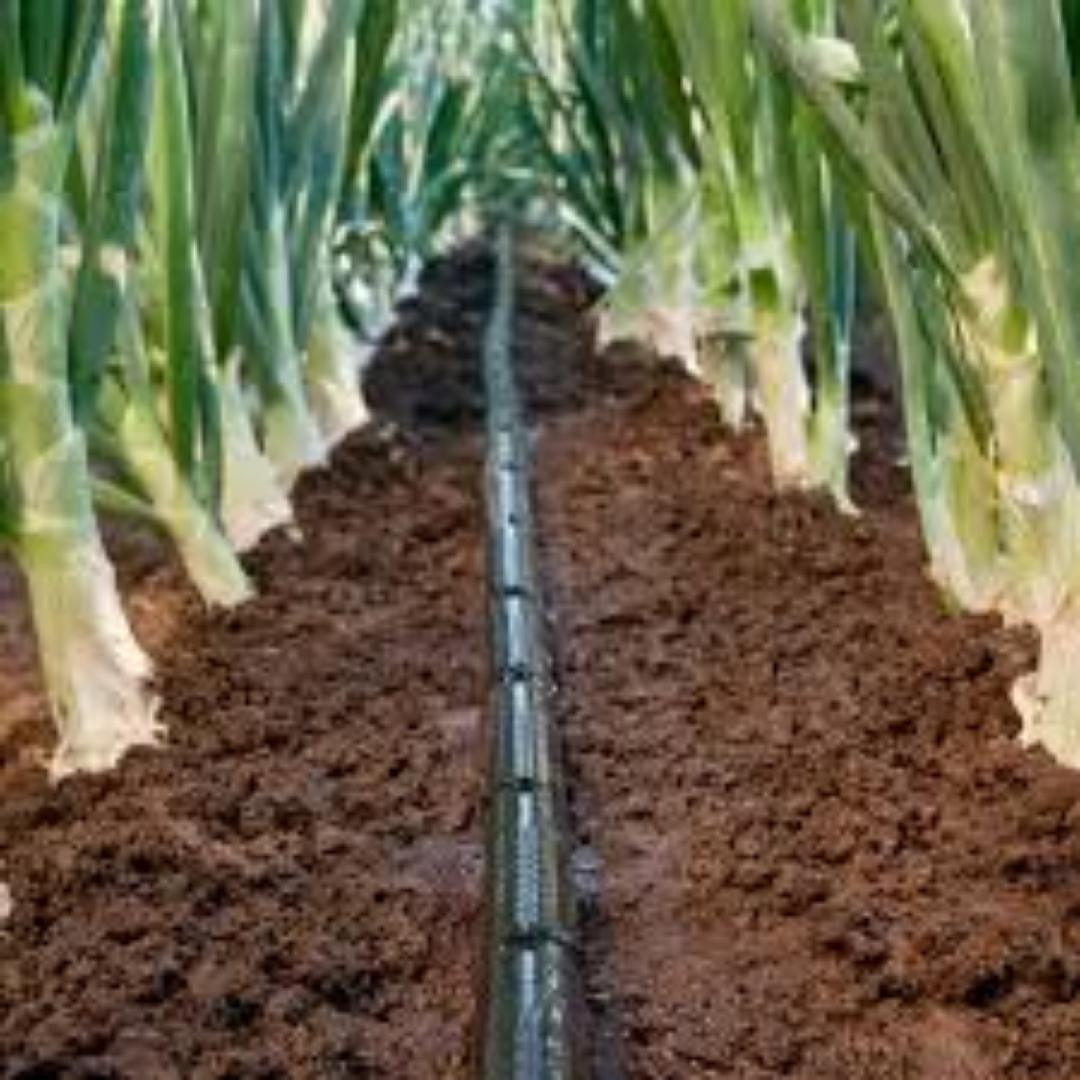 Flexible Drip Tape for Easy Installation... Maximize your yields today using our affordable investment.great harvest results while minimizing water spillage