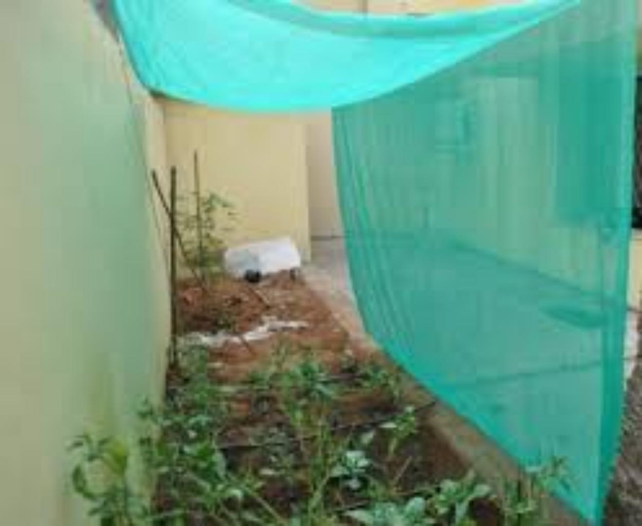 50% Effective Shade Netting for Garden Protection"... protect your crops for greater harvest...Invest in smart agriculture
