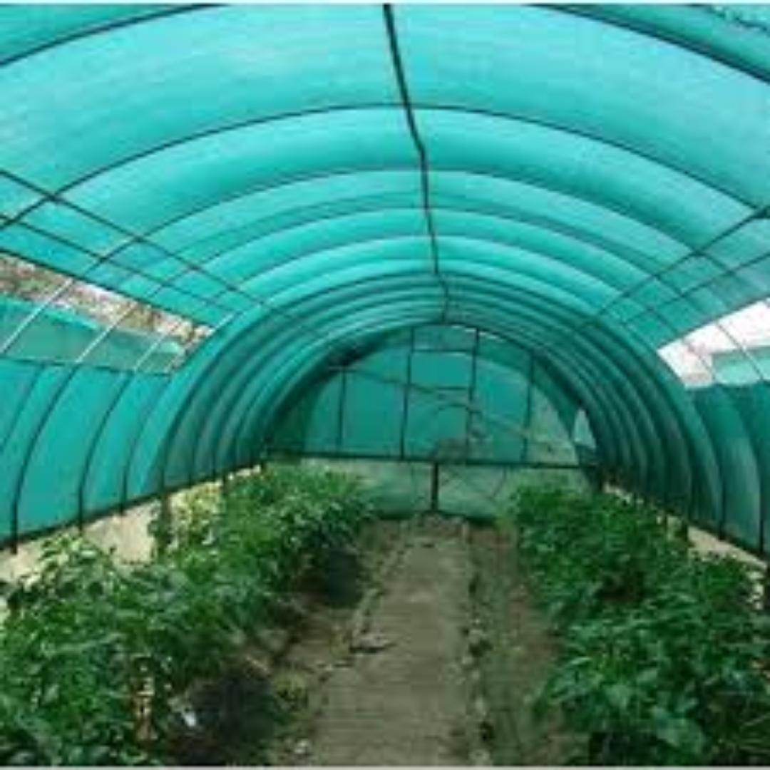 90% Effective Shade Netting for Garden Protection"Invest in smart agriculture... protect your crops for greater harvest