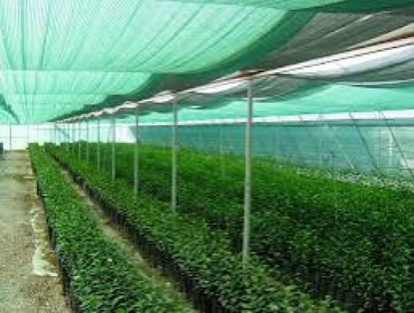 90% Effective Shade Netting for Garden Protection"Invest in smart agriculture... protect your crops for greater harvest