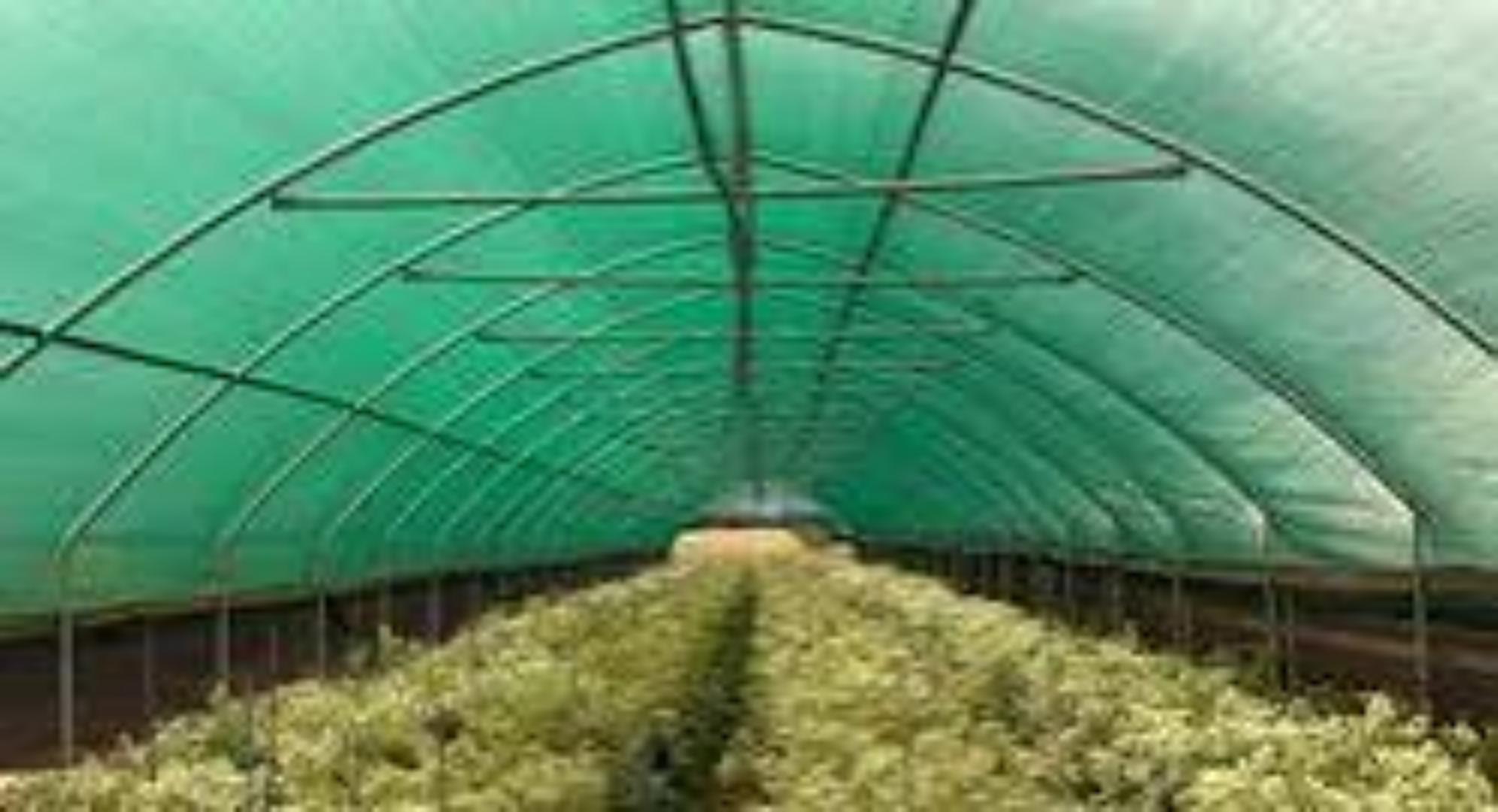 75%How to Install and Maintain Shade Nets for Best Results.Invest in our agricultural shade nets save more and experience great results