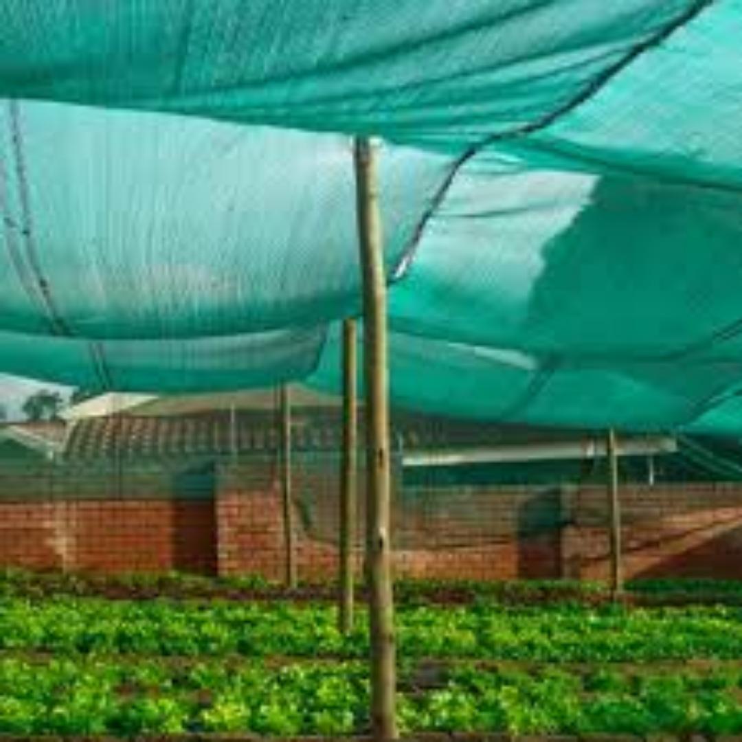 75%How to Install and Maintain Shade Nets for Best Results.Invest in our agricultural shade nets save more and experience great results