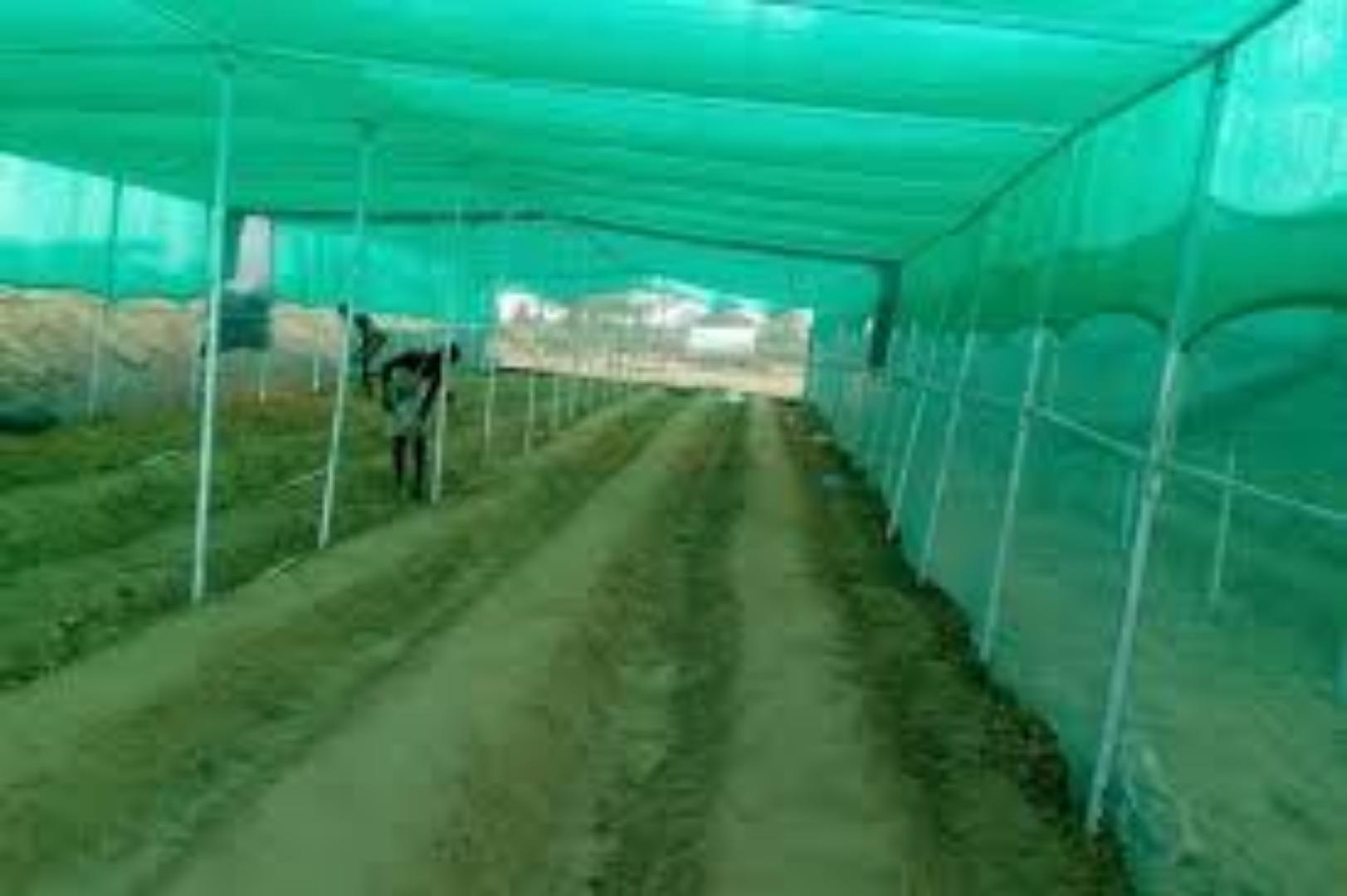 75%How to Install and Maintain Shade Nets for Best Results.Invest in our agricultural shade nets save more and experience great results