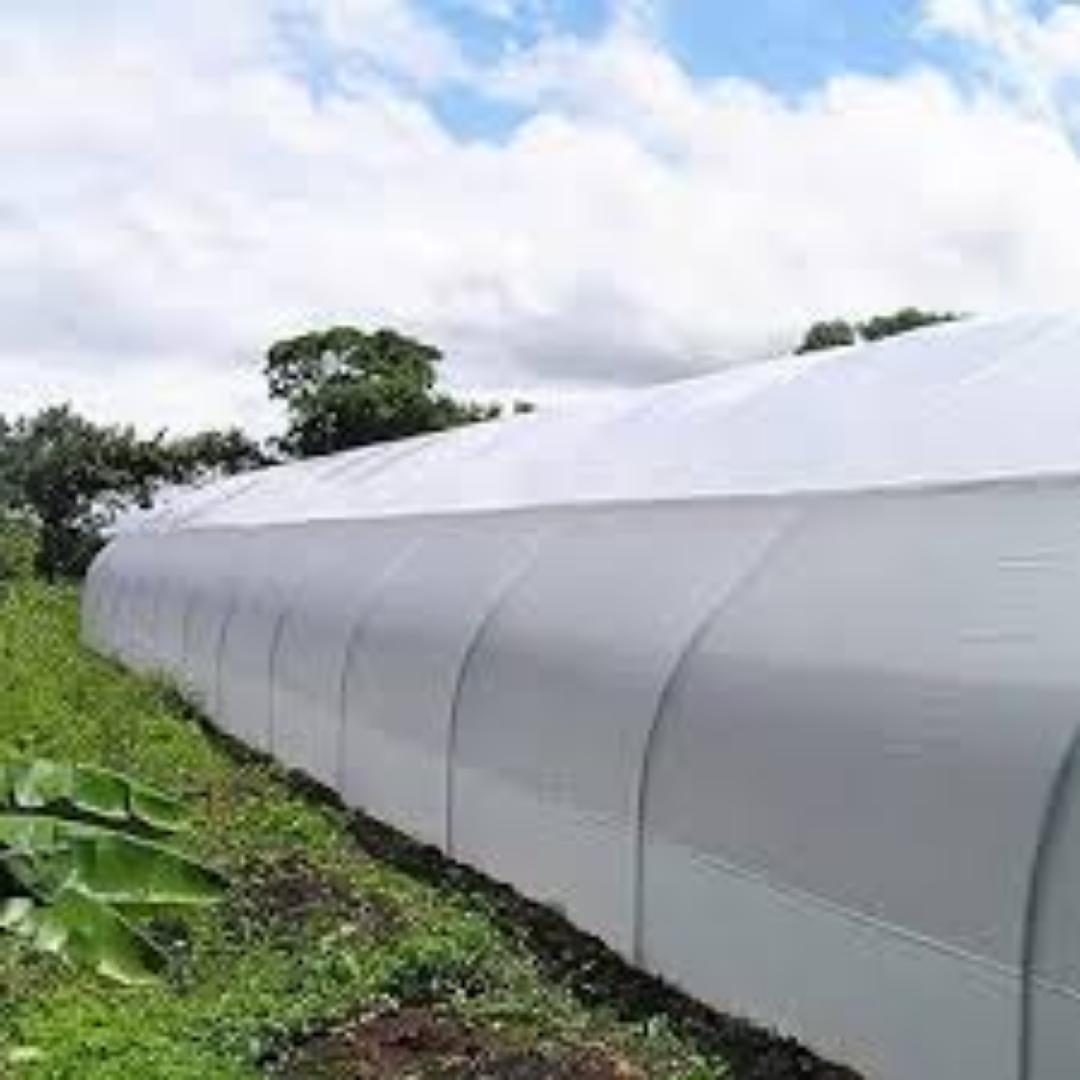 Transform Your Greenhouse – Affordable Covers that Deliver Results"...Maximize your crop yields using our high quality agricultural greenhouse film cover